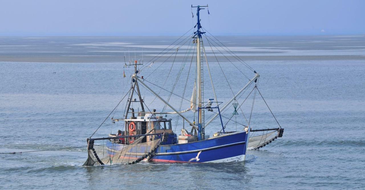 Ferienwohnung Familie Boeckmann Auf Norderney Kültér fotó